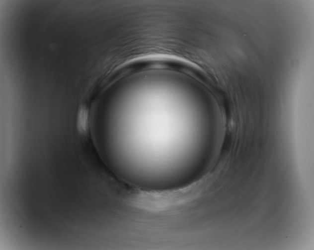 X0000090750041200707201458