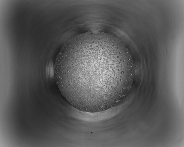X0000090750046200707201458