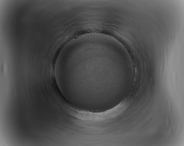 X0000090750048200707201458