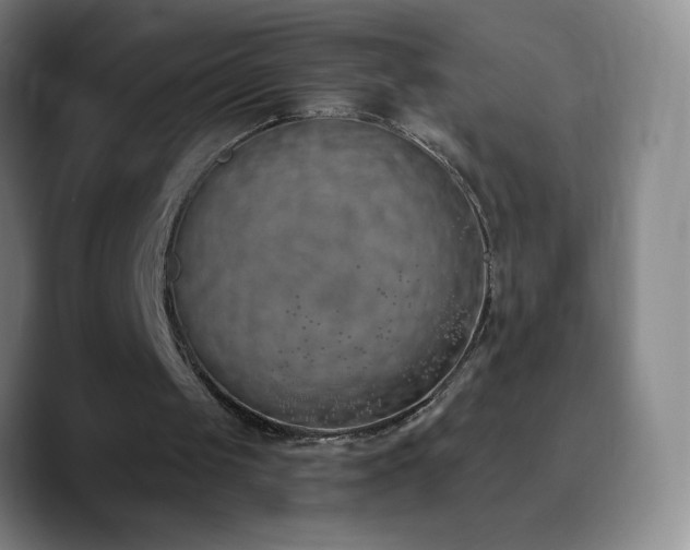 X0000090750049200707201457