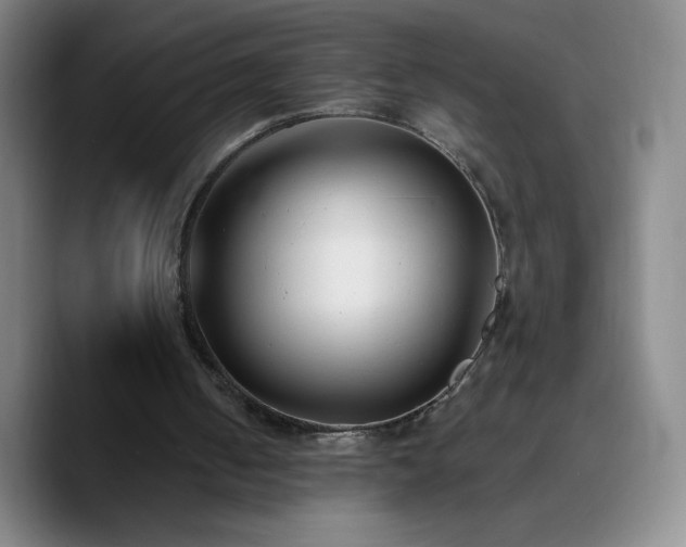 X0000090750050200707201457