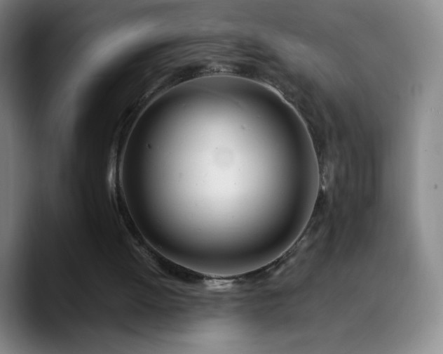 X0000090750052200707201457