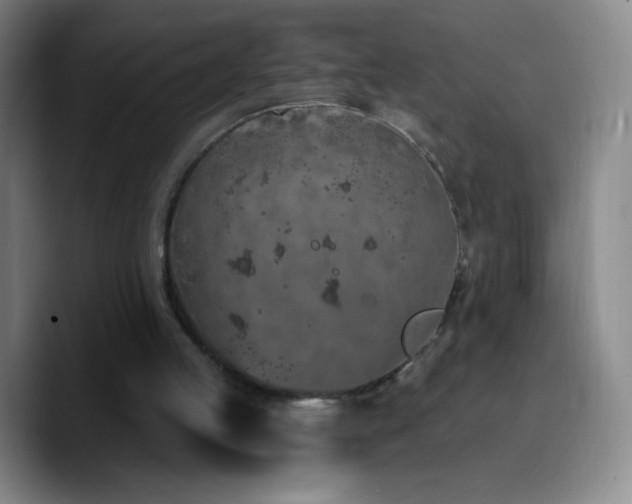 X0000090750053200707201457