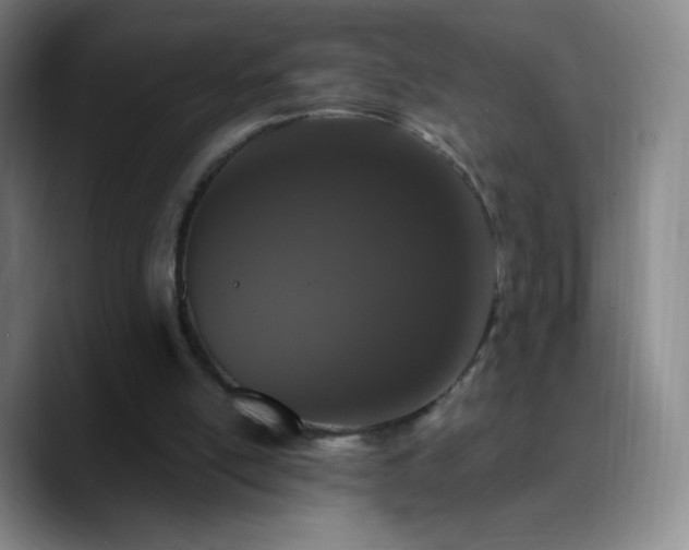 X0000090750054200707201457