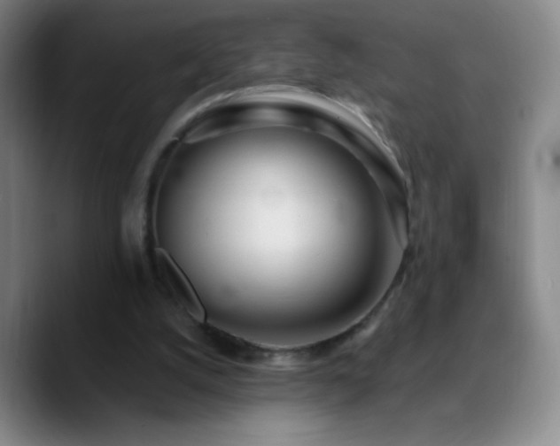 X0000090750056200707201458