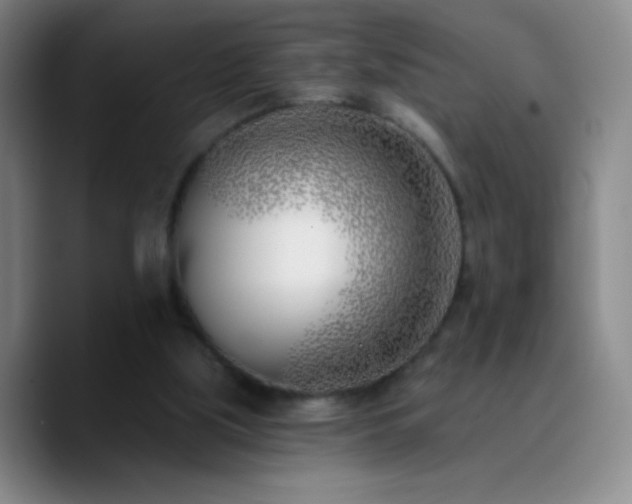 X0000090750059200707201458