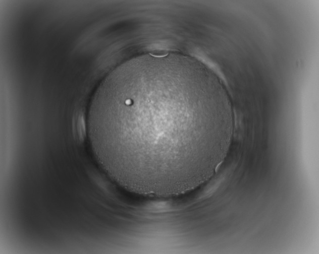 X0000090750061200707201458