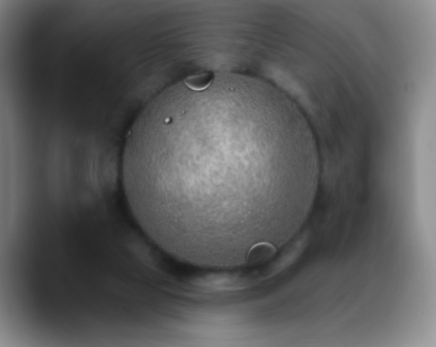X0000090750065200707201458