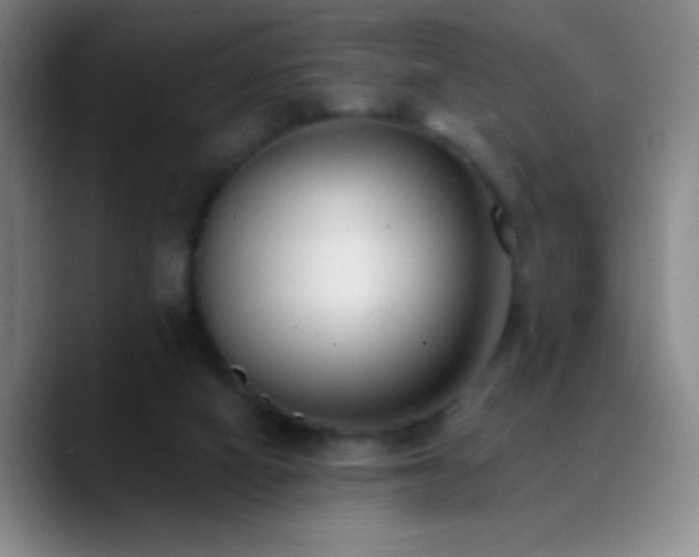 X0000090750066200707201458