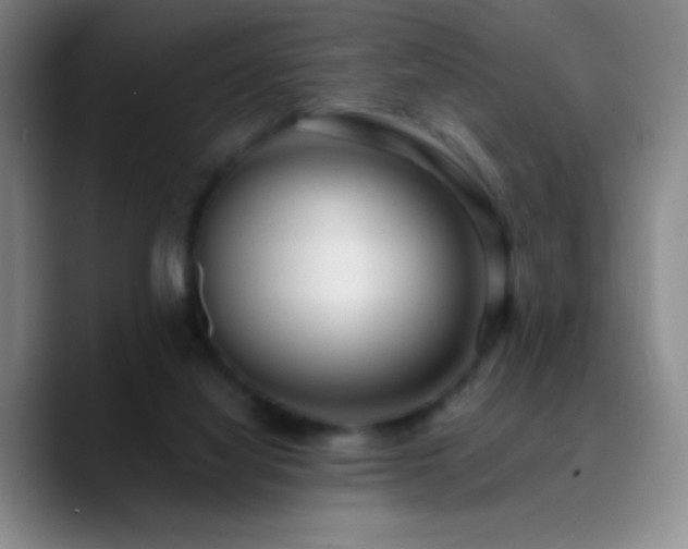 X0000090750068200707201458