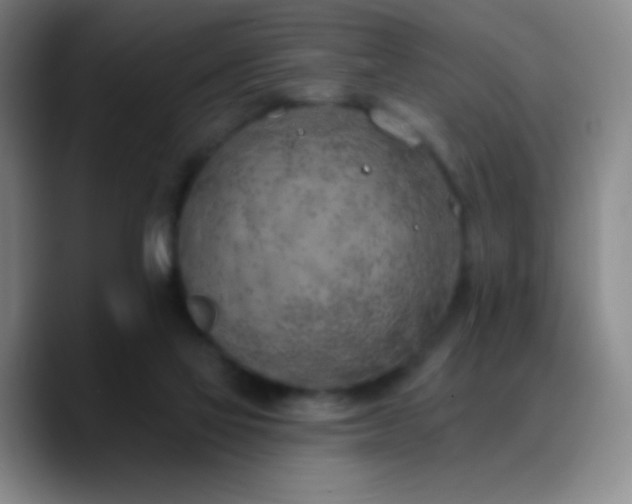 X0000090750069200707201458