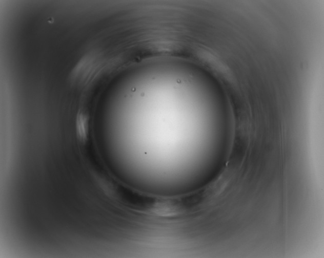 X0000090750070200707201458