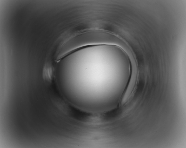 X0000090750076200707201458