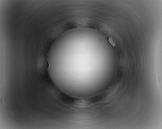 X0000090750079200707201458
