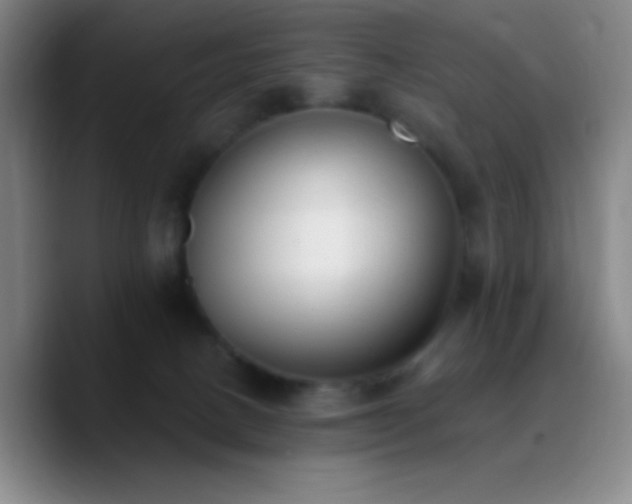 X0000090750082200707201458