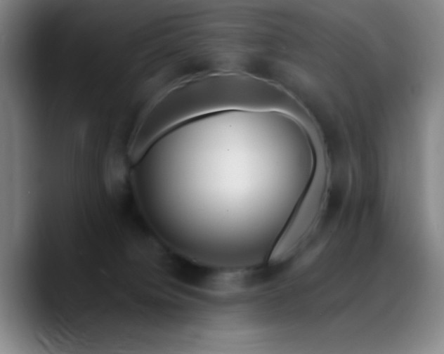 X0000090750084200707201458
