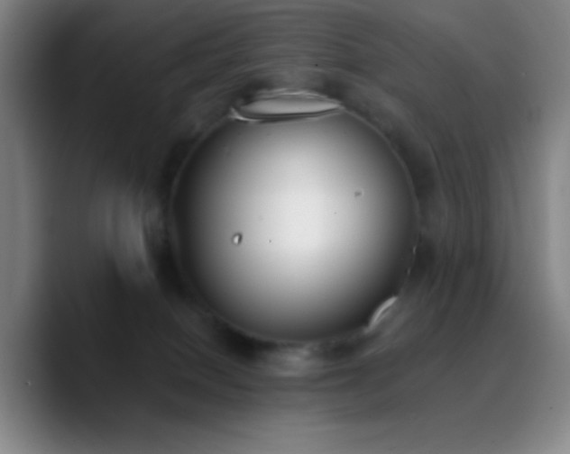 X0000090750086200707201458