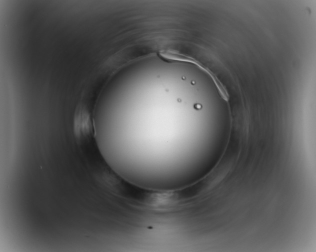 X0000090750089200707201458