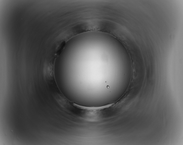 X0000090750096200707201458