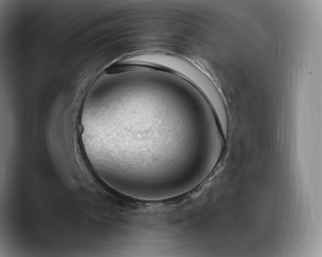 X0000090750097200707201457