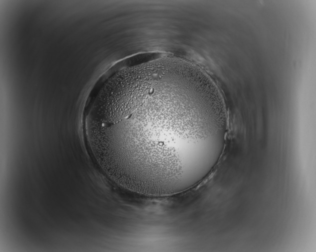 X0000090750099200707201457