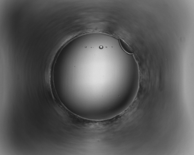 X0000090750100200707201457