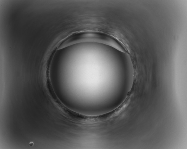 X0000090750101200707201457