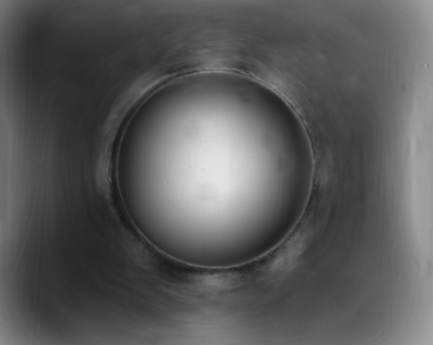 X0000090750103200707201457