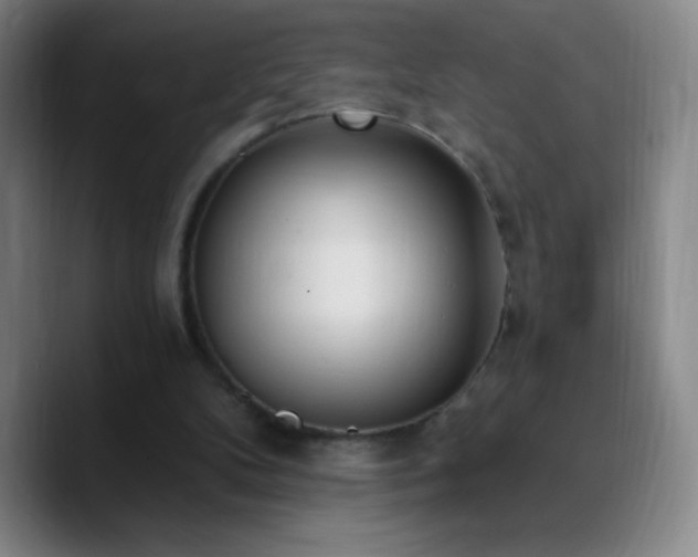 X0000090750104200707201457