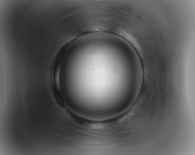 X0000090750105200707201457