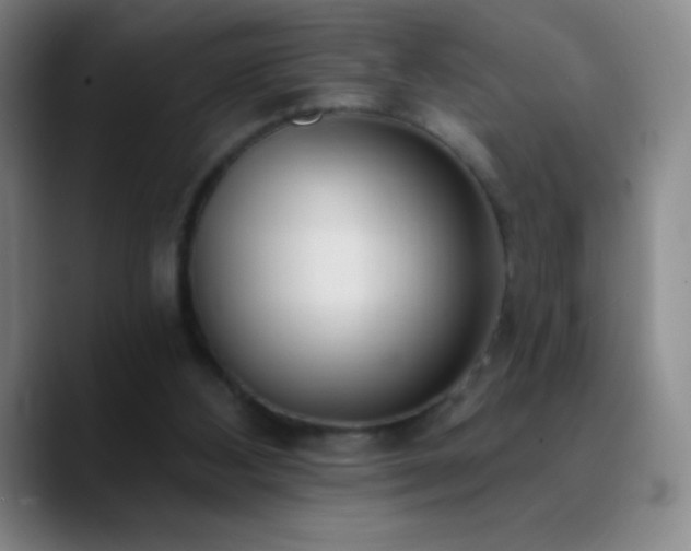 X0000090750108200707201457
