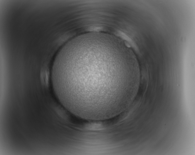X0000090750110200707201457
