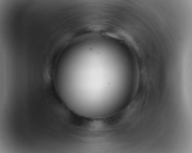 X0000090750114200707201457