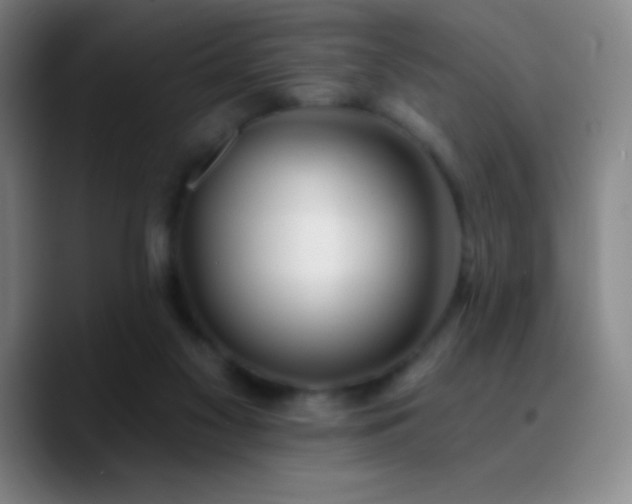X0000090750117200707201457
