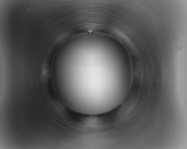X0000090750119200707201457