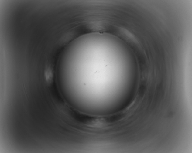 X0000090750124200707201457
