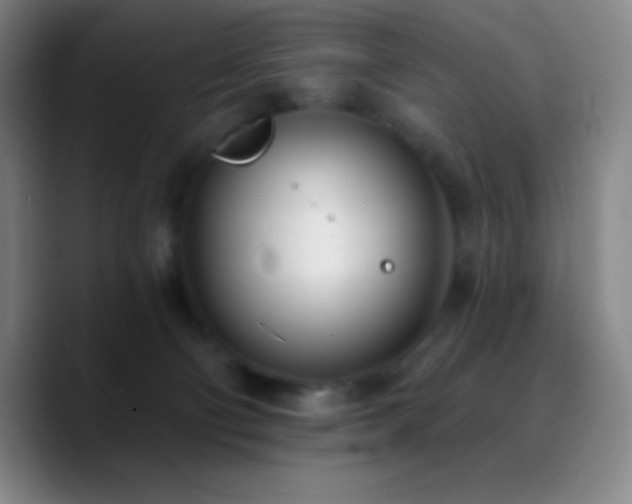 X0000090750130200707201457