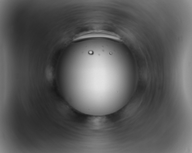 X0000090750135200707201457