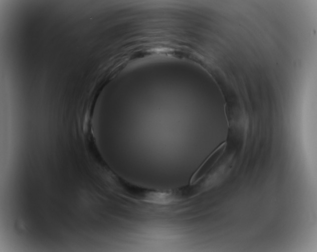 X0000090750139200707201457