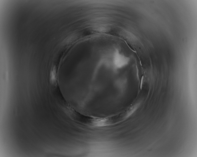 X0000090750143200707201457