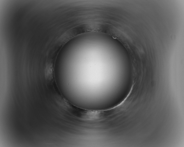 X0000090750144200707201457