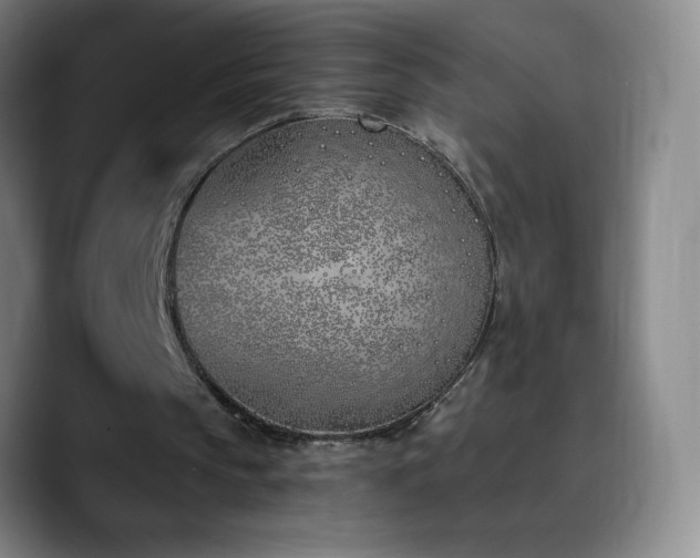 X0000090750145200707201456