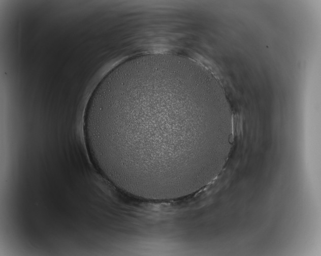 X0000090750147200707201456
