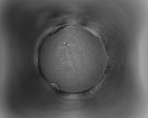 X0000090750149200707201456