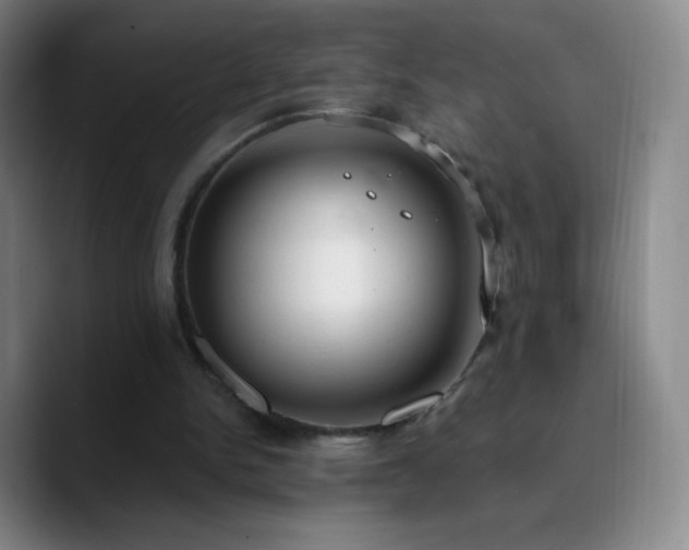 X0000090750150200707201456