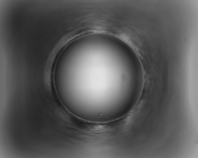 X0000090750151200707201456