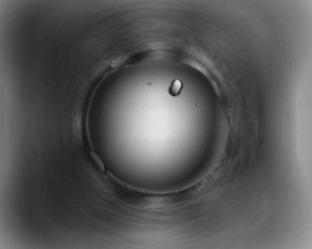 X0000090750154200707201456