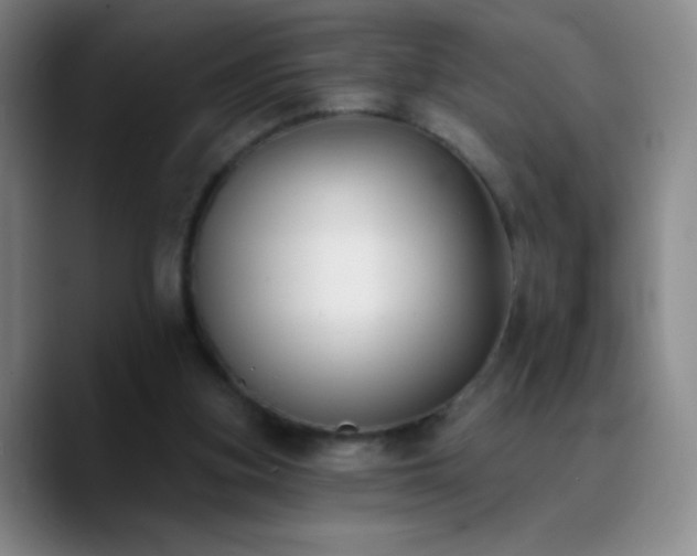 X0000090750155200707201456
