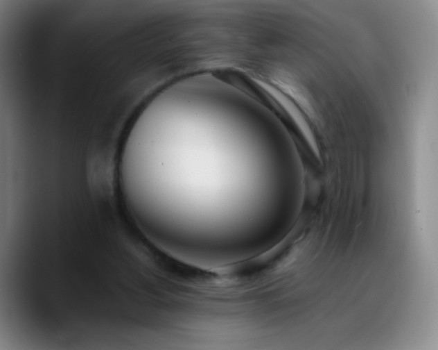 X0000090750156200707201456