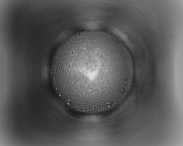 X0000090750161200707201456